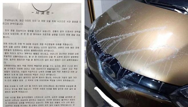 A씨 자녀 B씨가 쓴 사과문, 오물 테러를 당한 차량/온라인 커뮤니티 '보배드림'