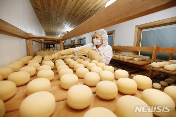 전북 임실군 한 치즈가공 공장에서 직원들이 정성껏 치즈를 만들고 있다. /사진=뉴시스