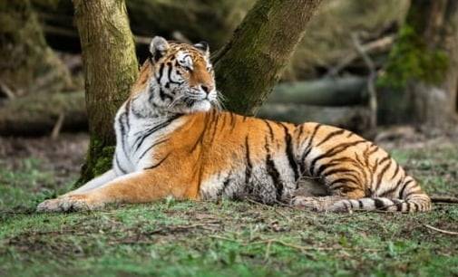 사진은 기사와 무관함. /사진=게티이미지뱅크