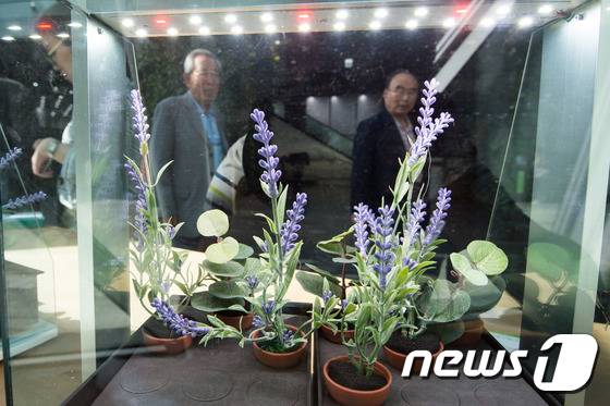 (사진은 기사 내용과 무관함) / 뉴스1 © News1