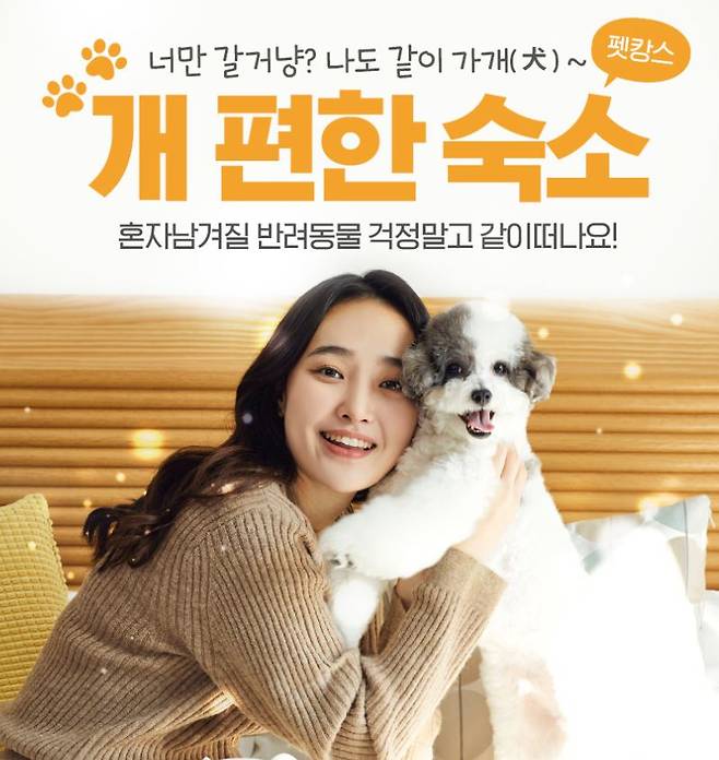 인터파크 개편한숙소 이미지