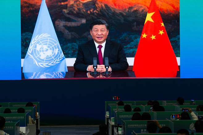 시진핑 중국 국가주석이 지난 12일 중국 윈난성에서 열린 제15차 유엔 생물다양성협약(COP15에 참석한 모습(사진=AFP)
