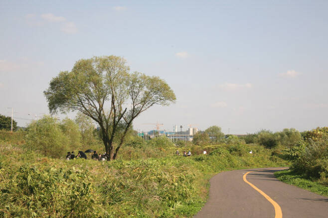 대덕생태공원 자전거도로.(사진=고양시 제공)