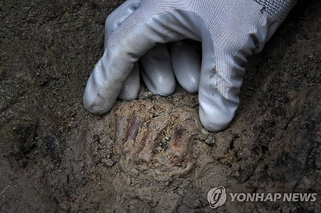15일(현지시간) 헤르쿨라네움 유적지에서 발견된 남성의 손 부분. [EPA=연합뉴스. 재판매 및 DB 금지]