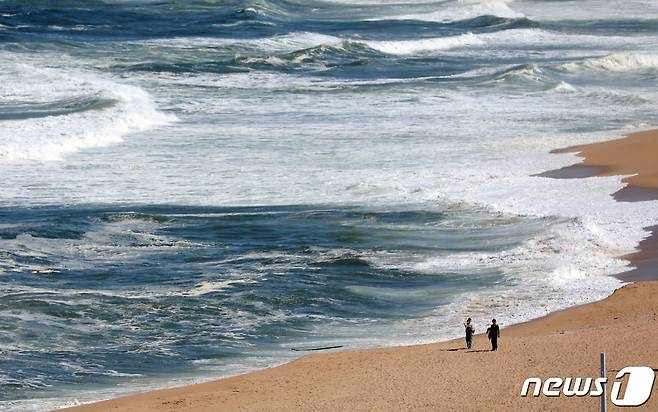 동해 바다 풍경.(사진은 기사 내용과 무관함) / 뉴스1 © News1