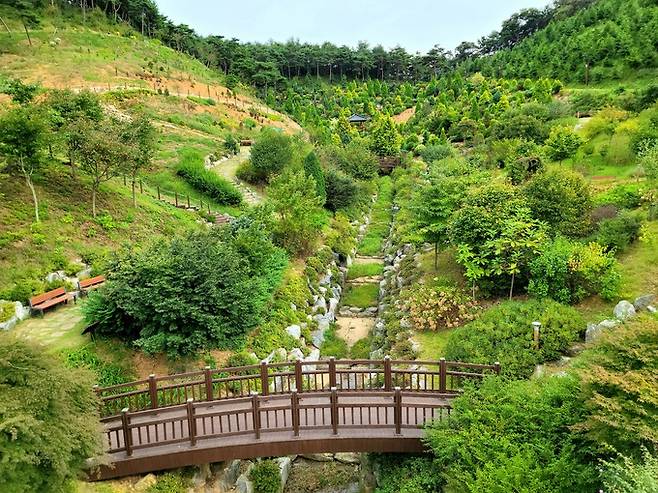 삼선산수목원 전경