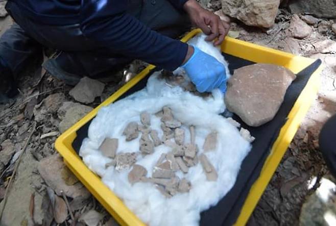 페를리스주 동굴에서 발견된 뼛조각 [말레이시아 국립유산부 페이스북·재판매 및 DB 금지]