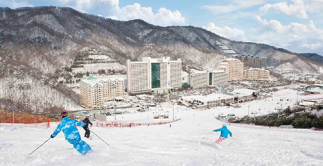 [사진 = 비발디파크]