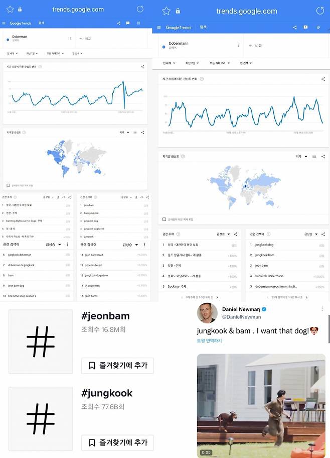 방탄소년단 정국, 반려견 '밤'도 글로벌 슈스..'도베르만' 구글 트렌드 장악→틱톡 #jeonbam 1680만뷰
