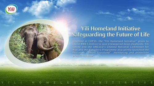 Yili plans to invest five million yuan to save endangered Asian elephants. (PRNewsfoto/Yili Group)