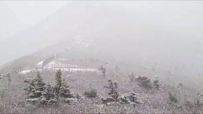 19일 강원 양양군 설악산 국립공원 일대에 첫눈이 쌓였다./설악산국립공원사무소 제공
