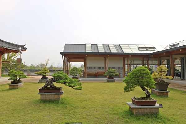 분재원에는 다양한 형태의 분재 작품 200여점이 전시되고 있다.