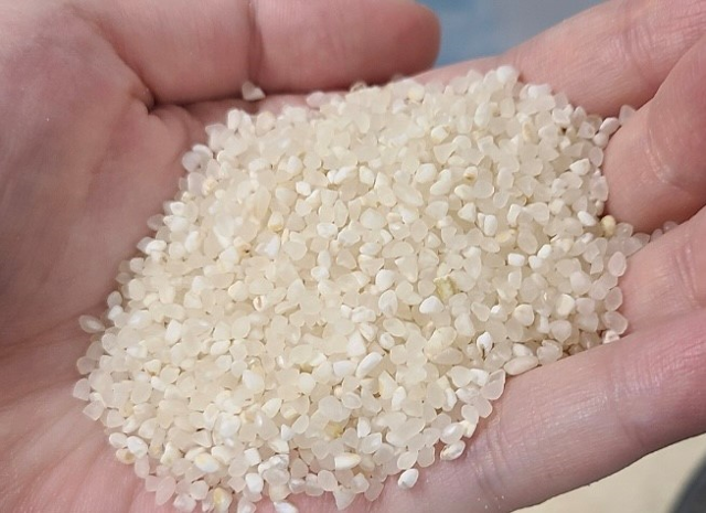 햇반을 만들 때 버려지는 깨진 쌀은 푸드 업사이클링 사업을 통해 제품으로 재탄생한다. CJ제일제당 제공