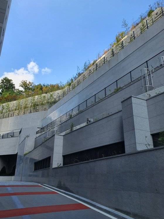 판교A아파트 단지 내에서 본 옹벽. 김원 기자