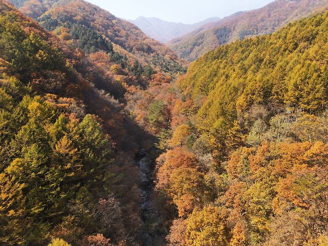 가평에서는 고개를 어디로 돌려도 산과 산에서 흘러내려온 계곡 그리고 북한강이 만나 이루는 절경을 즐길 수 있다.