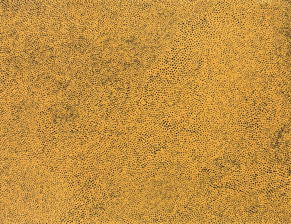 구사마 야요이 2015년 작품 `Gold-Sky-Nets` (112×145.5㎝).