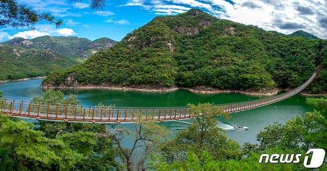 명승 제48호 제천 옥순봉을 연결하는 명품탐방로 옥순봉출렁다리가 개통됐다.(제천시 제공)© 뉴스1