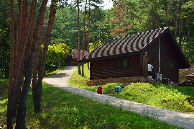 동해안 산림휴양·치유 거점 울진군에 있는 구수곡자연휴양림. 울진군 제공