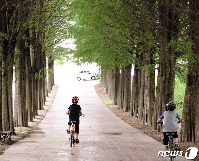 천안시는 자전거 둘레길 100리 조성 등 자전거 타기 좋은 환경을 만들어 나갈 계획이다. © 뉴스1