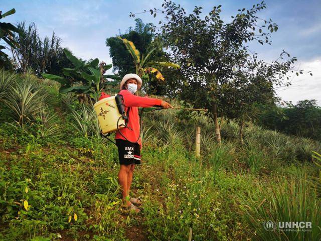 태국에서 태어났지만 출생등록을 못해 무국적자로 살아온 남쭘 싸이씨는 미얀마와 국경을 접하고 있는 치앙라이도 메짠군에서 가족과 농사를 지어 생계를 유지하고 있다. 유엔난민기구(UNHCR/Ms. Aunthip Puttawong)