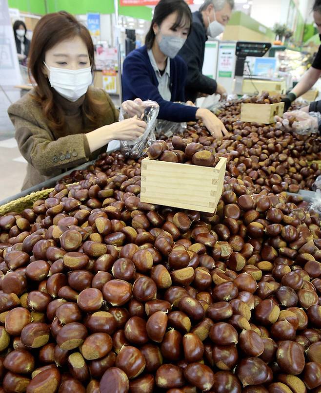 26일 농협 하나로마트 양재점(서울 서초구 소재)에서 소비자들이 공주 ‘옥광밤’을 구매하고 있다. 농협유통 제공