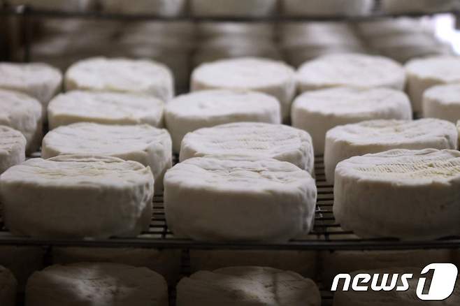 까망베르 치즈. © AFP=뉴스1