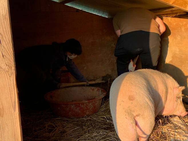 잔디의 집 안방을 청소하고 있는 기자./사진=이주아 머니투데이 PD