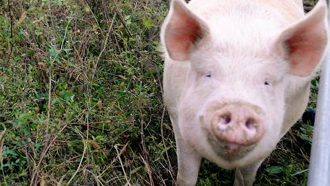 새벽이를 만나고 온 뒤에도, 생각하는 날들이 많아졌다./사진=이주아 머니투데이 PD
