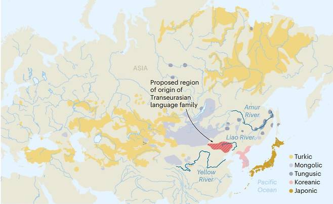 트랜스유라시아어의 형성과정을 보여주는 지도. 한국어(분홍색)와 일본어(짙은 황색), 투르크어(노란색), 몽골어(연회색), 퉁구스어(진회색) 등 트랜스유라시 어족 언어들이 9000년 전 중국 요하(붉은색)에서 조상 언어를 쓰던 농경민이 각지로 이주하면서 생성됐다는 주장이 나왔다./네이처
