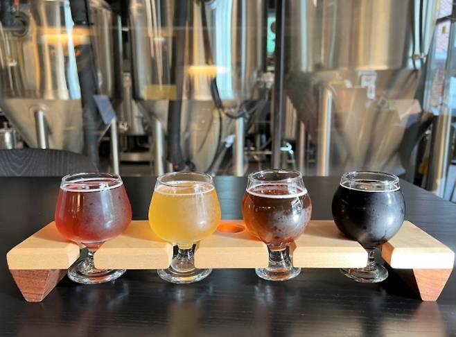 강릉부르어리 바이 현의 맥주는 캔으로도 판매하지만, 강릉 외 지역에는 유통이 안 되고 있다. 강릉에 방문할 일이 있다면 생맥주로 마셔보자. 샘플러로 주문할 경우 도수가 낮은 맥주에서 높은 맥주 순서로 마실 것을 김상현 대표는 권했다. 왼쪽부터 하트하트페일에일, 강릉 세종, 호랑이곶감, 마스터SH 블랙 아이피에이.