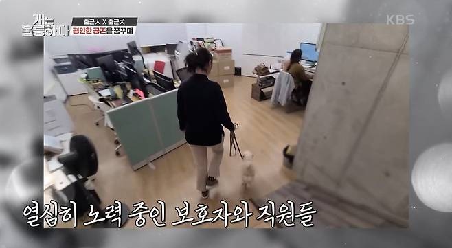 In the United States, 8% of companies are allowed to go to work with Pet. This trend is expanding.In fact, it is said that it is effective in improving work productivity.KBS2 <Dogs Are Incredible>, which was broadcast on the 29th, showed a start-up (co-head) who dreams of a Pet company.The Kang Hyung-wook  trainer, who watched the scene, shook his head silently, (of course) judging there was a problem.The Guardian was troubled by the gap between dreams and reality, and he was worried that there would be a complaint among the ones.He was aware of himself, but he thought he should try harder. He was at the crossroads of the reality that was different from his dreams.Im a professional trainer, a companion, and a representative of a Pet commuting company, and Im a perfect baker. I have no standards.(Kang Hyeong-book Training Company)Kang Hyung-wook  said his company is also a Pet company, and now 25 direct ones and 19 dogs are on their way to work.He stressed that for Pet partners there should be clear rules, because otherwise it cannot operate properly.In his case, he added that he is trying to make sure that all of the compositions are not uncomfortable by conducting surveys on Pet companions and non-partners.On the other hand, in the case of Guardian, there were no standards in the company, and there was no consideration for uncomfortable people.Kang Hyung-wook  was sent to the office to meet Guardian.The Guardian was holding Walnuts The neck line, which was vigilant and kissed outsiders, but Walnut allowed him to approach Kang Hyung-wook  and smell it.Kang Hyung-wook  pointed out sharply why he did not ask his doctor.Pet companion company rules1. Use of Kennel (use of lead line when moving) within the company;2. Do not place Pet on the couch or knee;3. Installing safety fences at the door;4. Not to greet the representative with a good grace;5. Prohibition of holding a pet during conversation;6. Prettier only at designated places;7. Removing bells;Kang Hyung-wook  said he (representative) does not greet the direct Ones as he walks past the dog, to prevent the dog from mistaking it.He added that the representative should first control Pet at a high level because Pet feels the Guardians attitude.He also explained that by being more polite to the Ones, we should recognize that this is a space to be careful.If it is a house, dogs can go up on the couch, but the company should not go up on the couch and chair.Also, you should not forget to set up safety fences to separate the work space from the space that prettiers the dogs.Kang Hyung-wook  emphasized that, above all, the place where dogs should be in the company should be Kennel.He said he shouldnt bring it to the company if he didnt want to keep it in Kennel.The Guardian, who heard it, suddenly called in a twist and started to talk.The panicked Kang Hyung-wook  soon regained his coolness and restrained him from holding a dog during conversation with others, as the dog became wary of the other.He also advised that the delivery be left outside the door, and that the guest would be able to meet the dog outside to help lower the dogs vigilance.Pets not a day care center. Its not a child. Its a place that allows you to bring Pet.You have to keep the rules and work and be caring and respecting each other. (Kang Hyung-wook  )Kang Hyung-wook  advised the Guardian that he needed to show a decisive leader.In his case, he shows dogs walking on purpose in the company, which gives him a sense of stability and conveys a message that he does not have to be wary of the surroundings anymore.Its a process of identifying who the leader is, and its also about keeping dogs out of work space.I respect Guardians dream of creating a happy company with Pet, and its also a point that our society should be thinking about in the ten million years of Pet.However, in order to do so, there must be clear rules in the company, and you should carefully take care of whether there is any inconvenience to your direct ones.The only thing that can be seen is that bringing a dog without such a process is to abuse the authority as a representative.