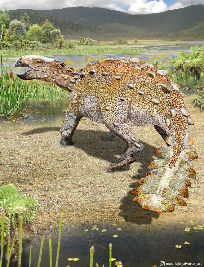 신종 안킬로사우루스는 중생대 백악기 말 현재의 파타고니아 강변 습지에서 살았다. 마우리시오 알바레스 제공.