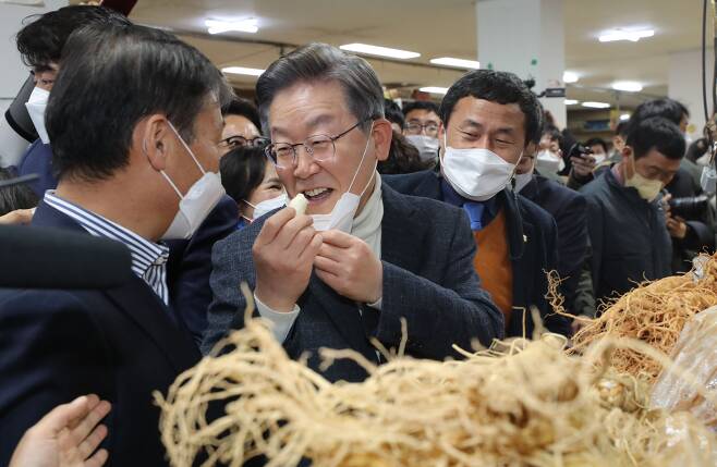 더불어민주당 이재명 대선후보가 5일 전북 진안군 인삼상설시장에서 인삼을 먹고 있다./연합뉴스