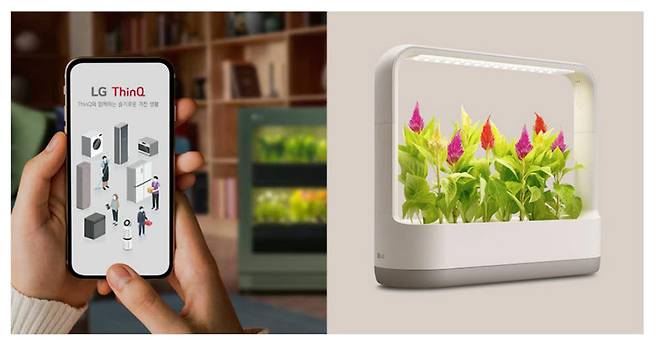 LG전자 틔운 미니(오른쪽)와 사용 편의성을 높이는 LG 씽큐 앱