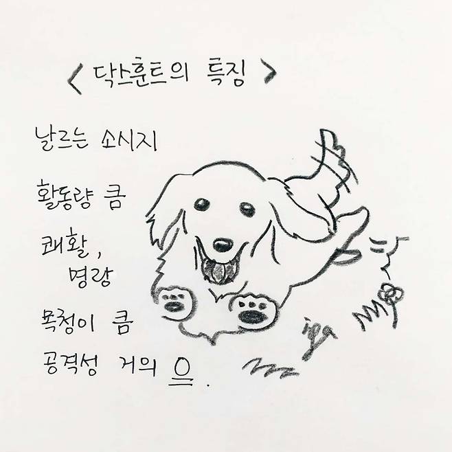 해피펫툰 닥스훈트(한인가 수의사 제공) © 뉴스1