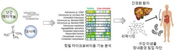 이선재 GIST 교수팀은 간경화 환자에게 잘 듣지만 이유는 알려지지 않았던 항생제인 리팍시민의 작용 원리를 마이크로바이옴 기능 분석을 통해 밝혀냈다. GIST 제공