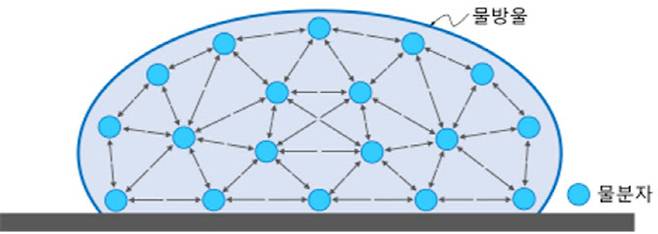 물의 표면장력. (이미지=최종수 위원)