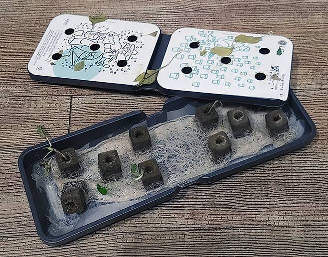 수확한 씨앗키트는 분리수거해야 한다