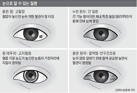 사진=조선일보DB