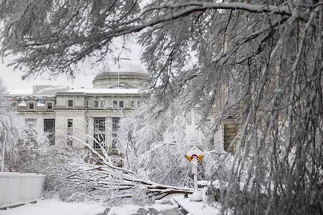 워싱턴DC 10번가 미국 국세청 앞의 나무가 3일 폭설로 쓰러졌다. EPA=연합뉴스