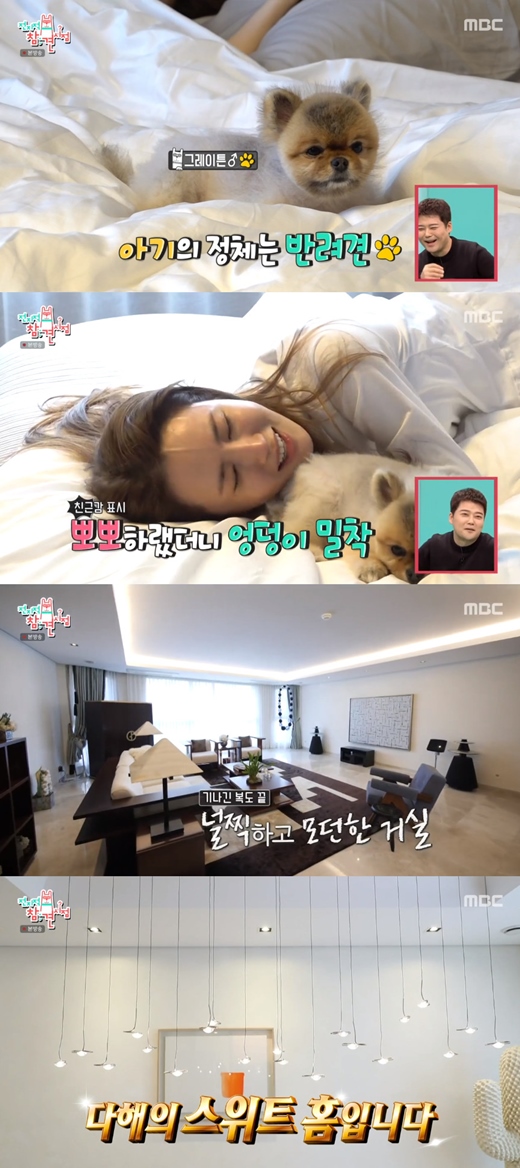 Actor Lee Da-hae has had a morning with his pet dog.In MBC Point of Omniscient Interfere broadcasted on the 8th, Lee Da-hae showed his first reality entertainment and showed his daily life.On the day, Lee Da-hae appeared on a large bed in the sunny late morning, calling his dog Grayton as soon as he opened his eyes.I didnt forget to hold Grayton in my arms.Lee Da-hae, who seemed to be getting up in bed, soon lay down again, calling Grayton, and when Lee Da-hae kissed him, he gave Grayton a butt and expressed his affection.Lee Da-hae responded, Is this how you put your butt? Lets get up. Lets get our baby up. After the bedding, Ill hug you. Ill hold you.My mother will come to wake me up. Later, the luxury of Lee Da-hae, like a hotel, was unveiled, with admiration at the end of the long hallway, a spacious, modern living room, a cosy, sophisticated kitchen, and a hotel suite.Whitetons bathroom, the main dress room with everything neatly arranged, and the sensual design study also boasted a visual that seemed to have ripped out the catalog.Especially eye-catching props and artworks that fill the house have given Lee Da-haes excellent aesthetic sense.