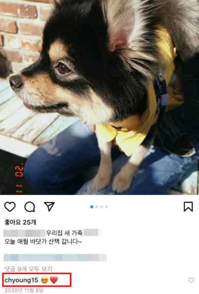 Actor Lee Chae-young was caught up in suspicion of breaking the pet habit.On the 11th, online community Nate Pantok and beauty-related cafes are spreading the article Lee Chae-youngs pet pet habitual sale suspicion.A, who posted the article, claimed that Lee Chae-young had adopted his dog Jackcock to another acquaintance. Jackcock is staying with Lee Chae-youngs acquaintance and sound director B.In fact, Mr. B posted a picture of Jackcock on his Instagram in November 2020 with an article entitled My New Family. Lee Chae-young sent a heart emoticon to the post.Lee Chae-young has also posted a picture of her dog Jackcock (a nickname Jae-yi) on her instagram until September 2020.Then, in October 2020, he suddenly posted The first morning without a re-explained and The LP player came in this place.A, who raised suspicions about Lee Chae-youngs dog, said, When the comment was asked about his dog, Lee Chae-young insisted that Jackcock, who had been uploading it, deleted all the photos.Lee Chae-young was raising another dog before adopting Jackcock, Lee Chae-young said in 2017 as evidence for walking with dogs.A added, I do not see the recent appearance of this dog, so I suspect it is a cat.Lee Chae-young announced that he adopted not only his dog but also his companion, but he has not reported the current situation. In fact, Lee Chae-young posted an article saying that he adopted the organic tomb at the end of 2020 and deleted the article and the photo.Netizens, including A, are raising suspicions that Lee Chae-young has also sold his dog and his adopted organic tomb, which he walked with in 2017.As the controversy spread rapidly online, netizens responded to Please disclose your position, I do not know why you raise it, The child (dog), Jackcock, where are all the organic tombs that you raised in 2017, Only three animals have changed so far and Check even life and death.On the other hand, Lee Chae-young has not made any different stance on the current suspicion.