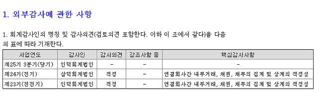 오스템임플란트가 금감원 전자공시시스템에 올린 보고서