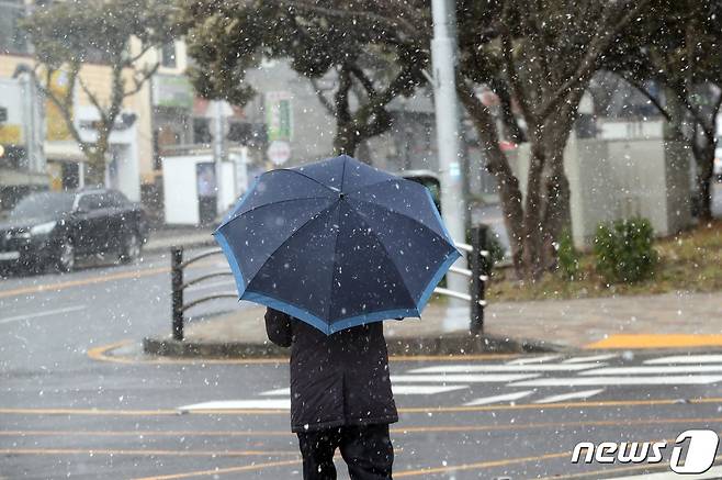 13일 충북·세종지역은 오전 4시부터 9시까지 최대 5㎝의 눈이 내리는 곳이 있겠다.(사진은 기사 내용과 무관함) / 뉴스1 © News1
