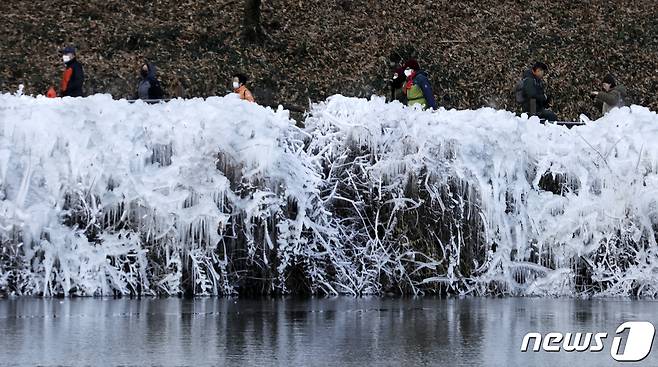 13일 울산 남구 선암호수공원을 찾은 시민들이 얼음으로 뒤덮인 산책로를 거닐고 있다. 2022.1.13/뉴스1 © News1 윤일지 기자