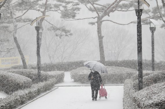 지난해 서울에 함박눈이 펑펑 쏟아지고 있다. 오늘 서울에는 1cm 미만의 약한 눈이 내리겠다 /사진=뉴스1