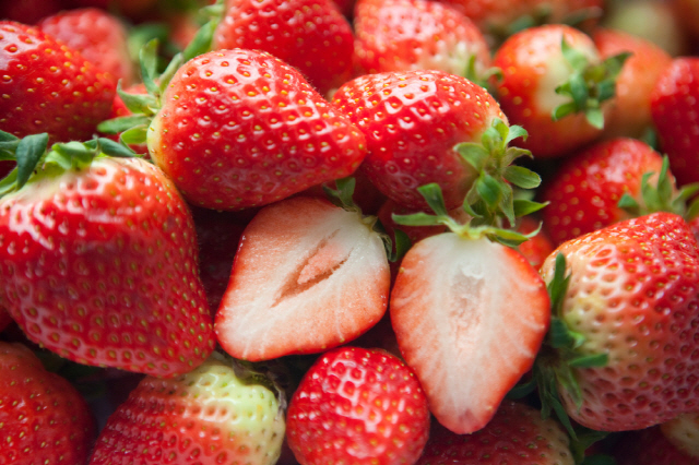 딸기에 함유된 ‘엘라직산’이라는 성분이 암세포의 아포토시스(Apotosis)를 유발해 암세포를 억제한다./사진=클립아트코리아