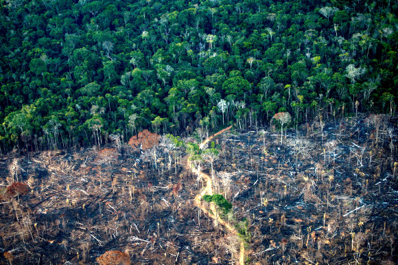 ‘지구의 폐’로 불리는 브라질 아마존 지역이 급격하게 훼손되면서 이상기후 현상이 빈번해지고 있다. 브라질 아마존 열대우림만큼이나 중요한 세하두 사바나가 1년 새 서울의 약 14배 크기인 8531㎢나 훼손됐다. 사진은 지난해 9월 15일 브라질 아마조니아주 라브레아 인근 아마존 열대우림이 훼손된 모습라브레아 AFP 연합뉴스