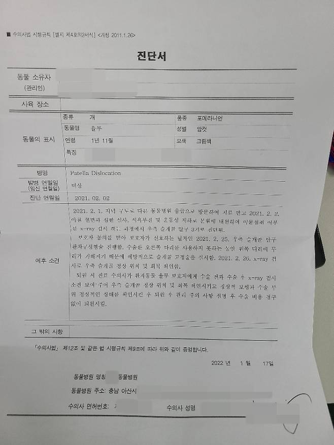 포메라니안 율무의 진단서. 독자 제공