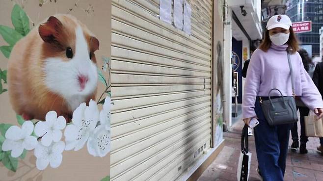 코로나19 확진자가 나온 홍콩의 애완동물 가게. 지금은 폐쇄된 상태이다.